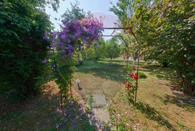 Casa modernă cu 4 camere | Sighetu Marmației | Zonă liniștită - 21