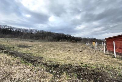 Teren agricol extravilan de 1000 mp, în Șura Mare