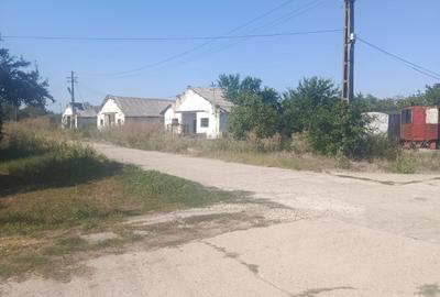 Teren Construcții intravilan de 96000 mp, în Crevedia