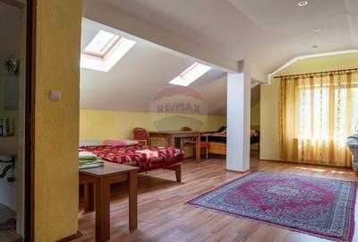 Vanzare vila-pensiune D+P+M 10 camere de vânzare, Daesti jud. Valcea - 19