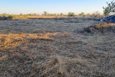 Teren Construcții intravilan de 800 mp, în Preajba