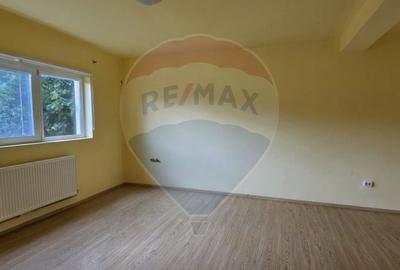 Casa P+M de vanzare in Valea Voievozilor Aleea Manastirii - 8