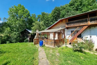 Casa de la marginea padurii! - 1