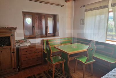Casă cu 2 clădiri, foișor generos și teren de 3300 mp - Cornesti - 4