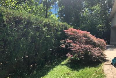 Primaverii,apartament 3 camere,193mp,parter,2 terase,4000Euro/luna+TVA - 5