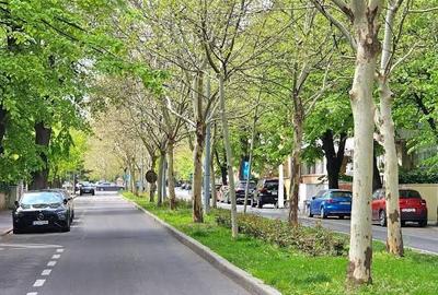Apartament cu 4 camere în Primăverii