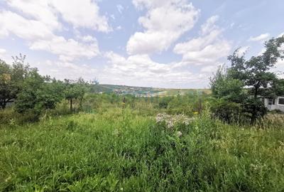 Teren Construcții de 8454 mp, în Dealuri Oradea