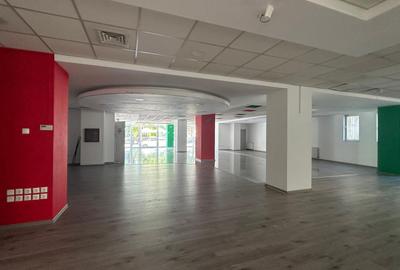 Spatiu comercial Parter +Subsol stradal - 14