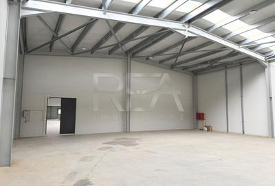 Hală industrială DN2 București-Urziceni, 1150 mp, 5250 euro + TVA - 5