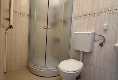 Apartament 2 camere/Mansarda/ Zona 13 Decembrie-Faget 0% COMISION - 7