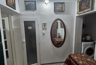 Casă individuală cu SAD, P+M, 2 apartamente, Timișoara, zona Lipovei, comision 0 - 16