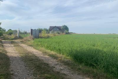 Teren Construcții intravilan de 7600 mp, în Dascălu