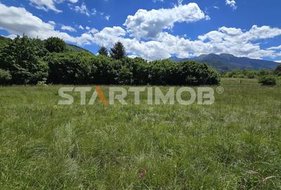 Teren extravilan Glajarie zona Cuibul de Lemn - 8