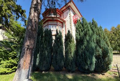 Vilă istorică de vânzare  Castel Aura Buzescu Bușteni  str. Victoriei nr. 11 - 5