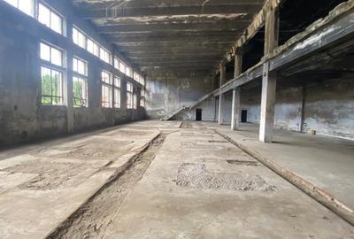 Hale industriale, 30000 mp, teren 65000 mp, zona Podari - 1