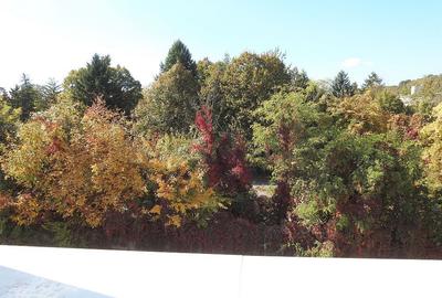 Iancu Nicolae-British School duplex  - 3 dormitoare - 19