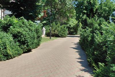 Gradina Icoanei(Parcul Ioanid), 3 camere ,130 mp,garaj dublu,boxa - 2