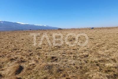 Teren agricol extravilan de 600 mp, în Gura Văii