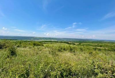 Teren 3600 mp extravilan Dobrovăț, Iași - 1.6 euro/mp, Negociabil, Priveliște Panoramică - 4