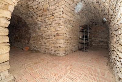Conac de lux in Zona Piata Chirila - 11
