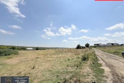 Vanzare Teren cu potențial excelent de vânzare – Zona Smârdan! - 6