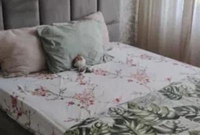Apartament 2 Camere Decomandat Berceni-Drumul Gazarului - 3