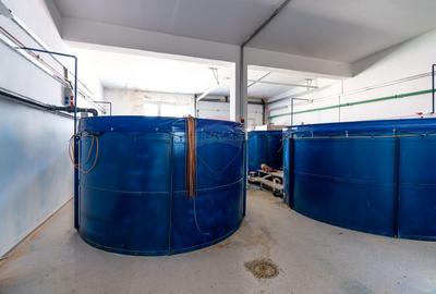 Spațiu comercial 460mp, pastravarie, comision 0% la achizitie - 4