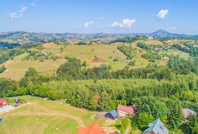 Teren agricol extravilan de 1305 mp, în Poiana Mărului