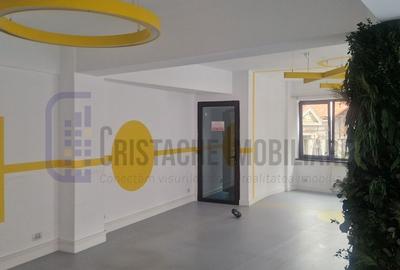 Vila P+2, suprafata 380 mp, Principatele Unite, Piata Unirii - 13