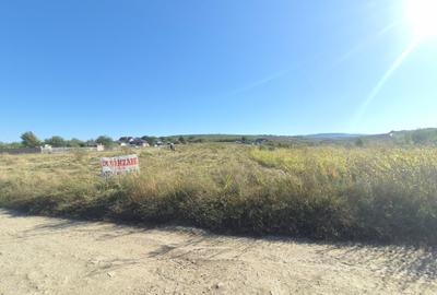 BUCIUM , STR. HOTARULUI , 850 mp intravilan , lac natural aproape, 18000 euro - 11