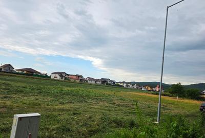 Teren intravilan superb în Micești – 600 mp – Dublu front stradal (23m / 26m) - 6