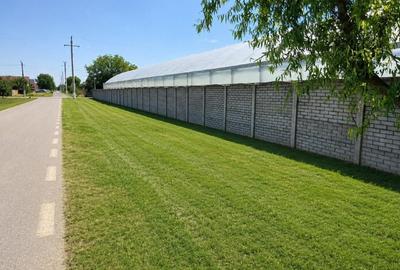 Proprietate cu afacere agricola la cheie - 16