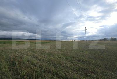 Teren extravilan 2.800 mp în Curteni – potențial investiție - 1