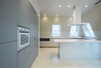 Iancu Nicolae: Penthouse in imobil exclusivist, langa padure! - 3