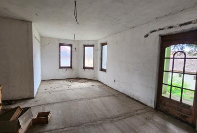 Vand casa mare și teren mare în Peciu Nou - 8