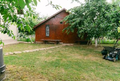 Vand proprietate doua case,  magazie, gazon,  livada, gradina - 8