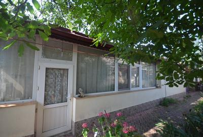 Casă 4 camere - curte 600 metri - Colentina - Andronache - 29