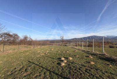 Teren intravilan 809 mp Tropinii Noi lângă pădurea Dumbrava - 10