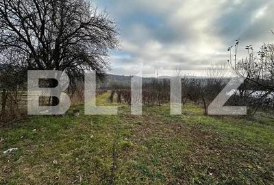 Teren Construcții intravilan de 2792 mp, în Exterior Est