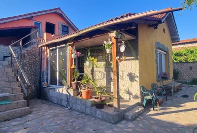 Casă parter cu teren de 1400 mp în Bariera Vâlcii aproape de drumul expres - 15