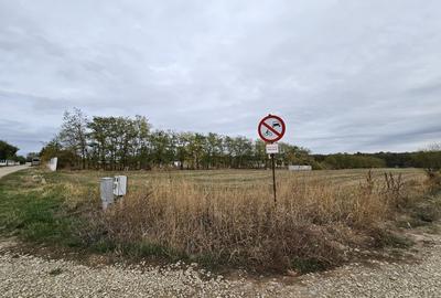 SNAGOV  TANCABESTI- STRADA MIHAI EMINESCU - 6