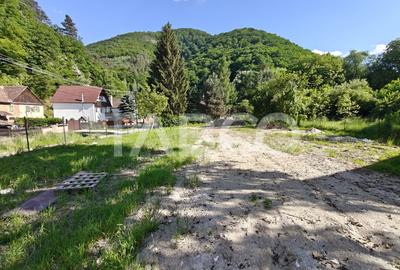Casa spatioasa - aer curat si priveliste spre munti - teren 1203 mp - 7