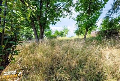REZERVAT ! Asezare munteneasca: casa din bustean si sura zidita, Arcus, Covasna - 10