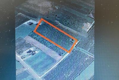 Teren Construcții intravilan de 8500 mp, în Șomcuta Mare