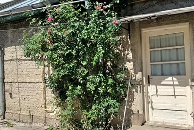 Casa de vanzare cu curte si gradina. Str. Transilvaniei ,nr.269 b ,oras Buzau - 2