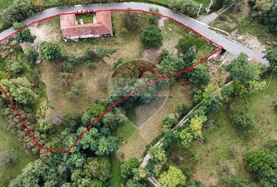 Teren Construcții intravilan de 4840 mp, în Sohodol