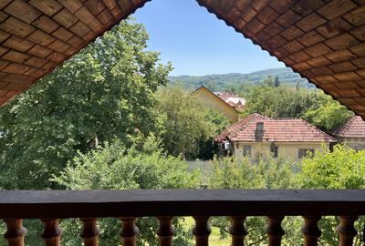 Investiție Turism | Casă | 5164 mp teren | Lac Propriu | Malu cu Flori - 15
