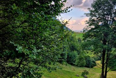 Teren extravilan 8635 mp, Pestera /Brasov - 7