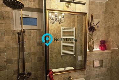 Apartament 2 camere-Piata Victoriei-Doctor Iacob Felix - 4