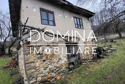 Casă individuală cu 2 camere în Mușetești